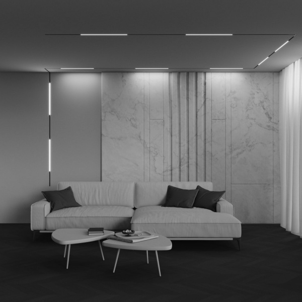 фото Трековый светильник Maytoni Technical Basis TR240-2-12W4K-B, черный
