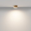 фото Потолочный светильник Maytoni Technical Zon C032CL-12W3K-RD-MG, матовое золото