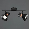 фото Спот Arte Lamp BALTIMORE A1406AP-2BK