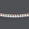 Лента холодного белого свечения 24V Lightstar 420505