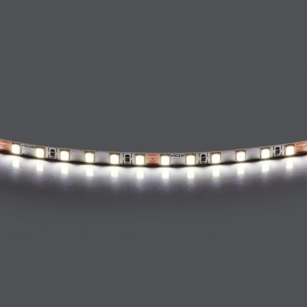 Лента холодного белого свечения 24V Lightstar 420505