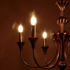 фото Подвесная люстра Arte Lamp COLLINETTA A4094LM-6PB