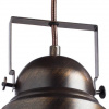 фото Подвесной светильник Arte Lamp MARTIN A5213SP-1BR