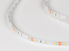 фото Лента светодиодная SWG DSG 3528 DW 60L-V12-IP33, 4000 K, 300 LED, 4,8 W/m, LUX, катушка 5 м