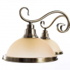фото Подвесная люстра Arte Lamp SAFARI A6905LM-5AB