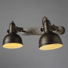 фото Спот Arte Lamp MARTIN A5213AP-2BR