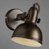 фото Спот Arte Lamp MARTIN A5213AP-1BR