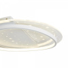 фото Потолочный светильник Freya FR6152CL-L89W, белый