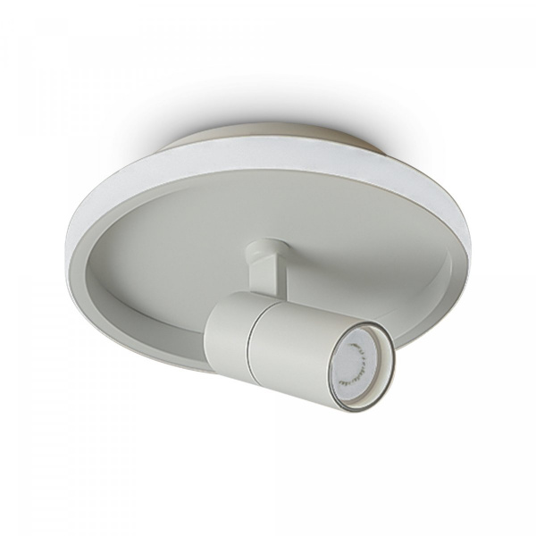 фото Потолочный светильник Freya FR6040CL-L14W, белый