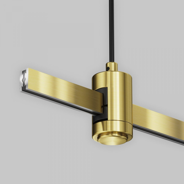 фото Подвес тросовый Hang с вводом питания Flarity латунь Maytoni Technical TRA157SW-B1-BS