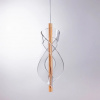 фото Подвесной светильник Arte Lamp FIORITA A2093SP-1GO