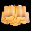 фото Потолочная люстра Arte Lamp SERENATA A3479PL-5CC