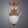 фото Потолочный светильник Arte Lamp SCHELENBERG A4410PL-1SR
