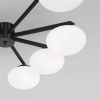 фото Умный потолочный светильник 70220/8 черный Smart