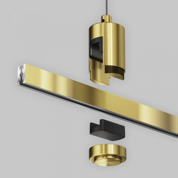 фото Подвес тросовый Hang одинарный Flarity латунь Maytoni Technical TRA157SW-S1-BS