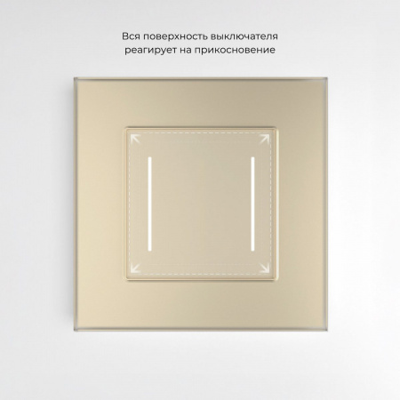 фото Умный сенсорный выключатель двухклавишный (шампань) W4523011