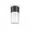 фото Уличный потолочный светильник Maytoni Outdoor Willis O418CL-01B, черный