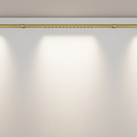 фото Светильник Maytoni Technical Points C101CL-L500-12W3-6K-BS, латунь