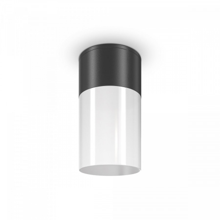 фото Уличный потолочный светильник Maytoni Outdoor Willis O418CL-01B, черный
