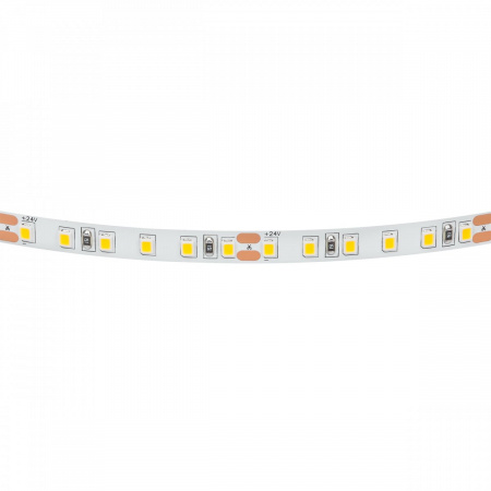 фото Лента холодного белого свечения 24V Lightstar 420805