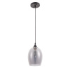 Подвесной светильник Arte Lamp PROPUS A4344SP-1BK