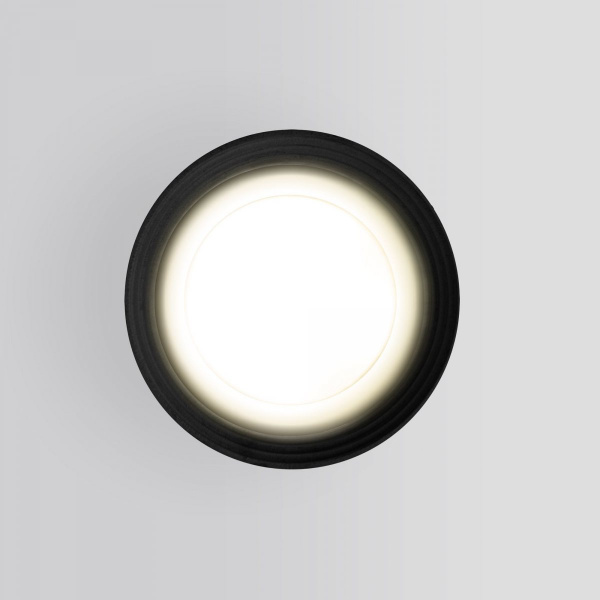 фото Уличный потолочный светильник Light IP65 35128/H черный