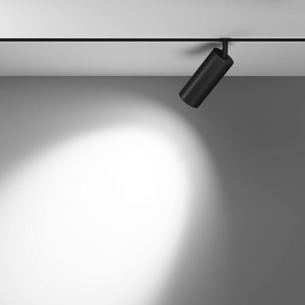 фото Трековый светильник Maytoni Technical Focus LED TR032-2-20W3K-M-B, черный
