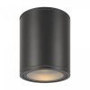 фото Уличный потолочный светильник Maytoni Outdoor Bar O306CL-L12GF, графит