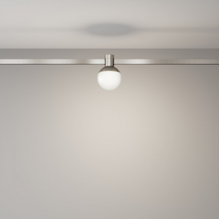 фото Трековый светильник Maytoni Technical Luna TR149-1-5W4K-PT, платина