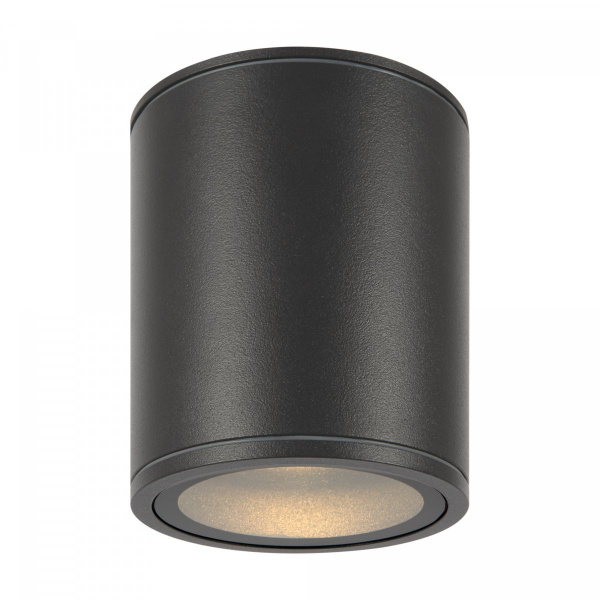 фото Уличный потолочный светильник Maytoni Outdoor Bar O306CL-L12GF, графит