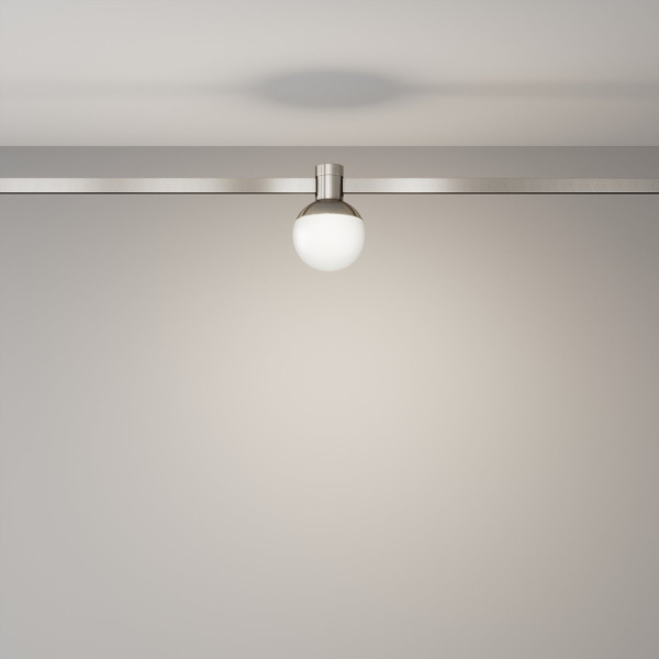 фото Трековый светильник Maytoni Technical Luna TR149-1-5W4K-PT, платина