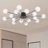 фото Потолочный светильник Freya Celebrity FR5242CL-16B, черный