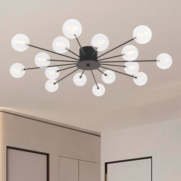 фото Потолочный светильник Freya Celebrity FR5242CL-16B, черный