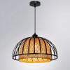 фото Подвесной светильник Arte Lamp WOODSTOCK A7071SP-1BK