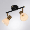 фото Спот Arte Lamp FALENA A3117PL-2BK