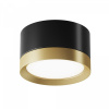 Потолочный светильник Maytoni Technical Hoop C086CL-GX53-SRD-BG, черный с золотом
