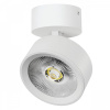Светильник накладной LED 30W с накладной чашей Alta Pro, белый Lightstar A5646SO