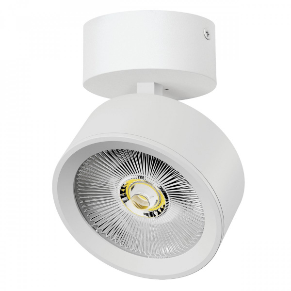 Светильник накладной LED 30W с накладной чашей Alta Pro, белый Lightstar A5646SO