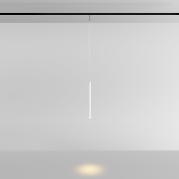 фото Трековый подвесной светильник Maytoni Technical Skim TR191-1-3W3K-M-BW, черный