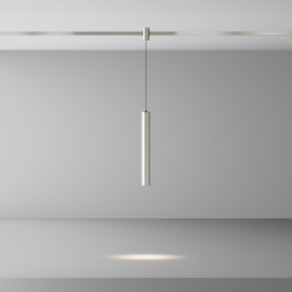 фото Трековый светильник Maytoni Technical Focus Led TR155-1-5W4K-PT, платина