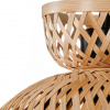 фото Подвесной светильник Arte Lamp WOODSTOCK A7070SP-1BK