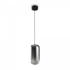 фото Подвесной светильник Freya Idol FR6134PL-L4SM, черный