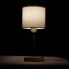 фото Декоративная настольная лампа Arte Lamp CHARLIE A5071LT-1SS