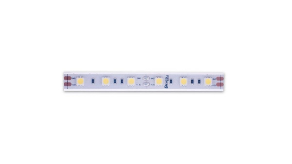 фото Лента светодиодная SWG DSG 5050 W 60L-12V-IP65, 6000 K, 300 LED, 14.4W/m, LUX, катушка 5 м