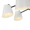 фото Подвесной светильник Freya Nordic FR5127PL-06B, черный