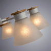 фото Потолочная люстра Arte Lamp TYLER A1031PL-5WH