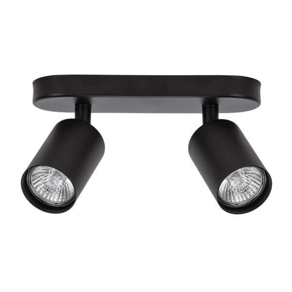 Спот Arte Lamp AQUARIUS A3226PL-2BK