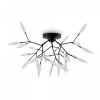 фото Потолочный светильник Freya Iris FR5067CL-27B, черный