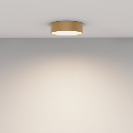 фото Потолочный светильник Maytoni Technical Zon C032CL-24W4K-RD-MG, матовое золото