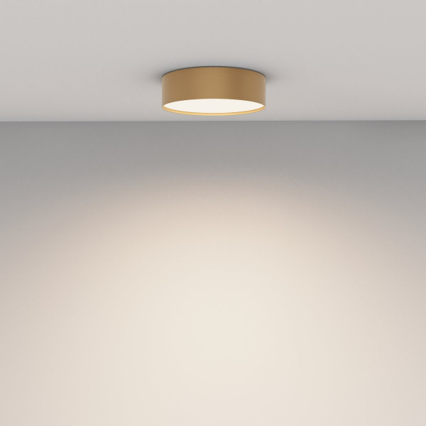фото Потолочный светильник Maytoni Technical Zon C032CL-24W4K-RD-MG, матовое золото